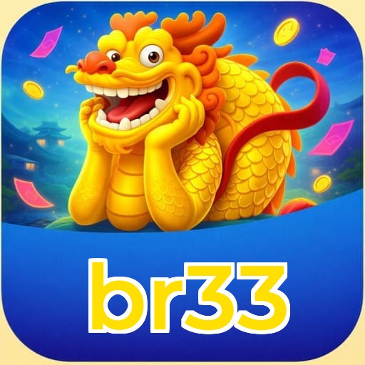 br33